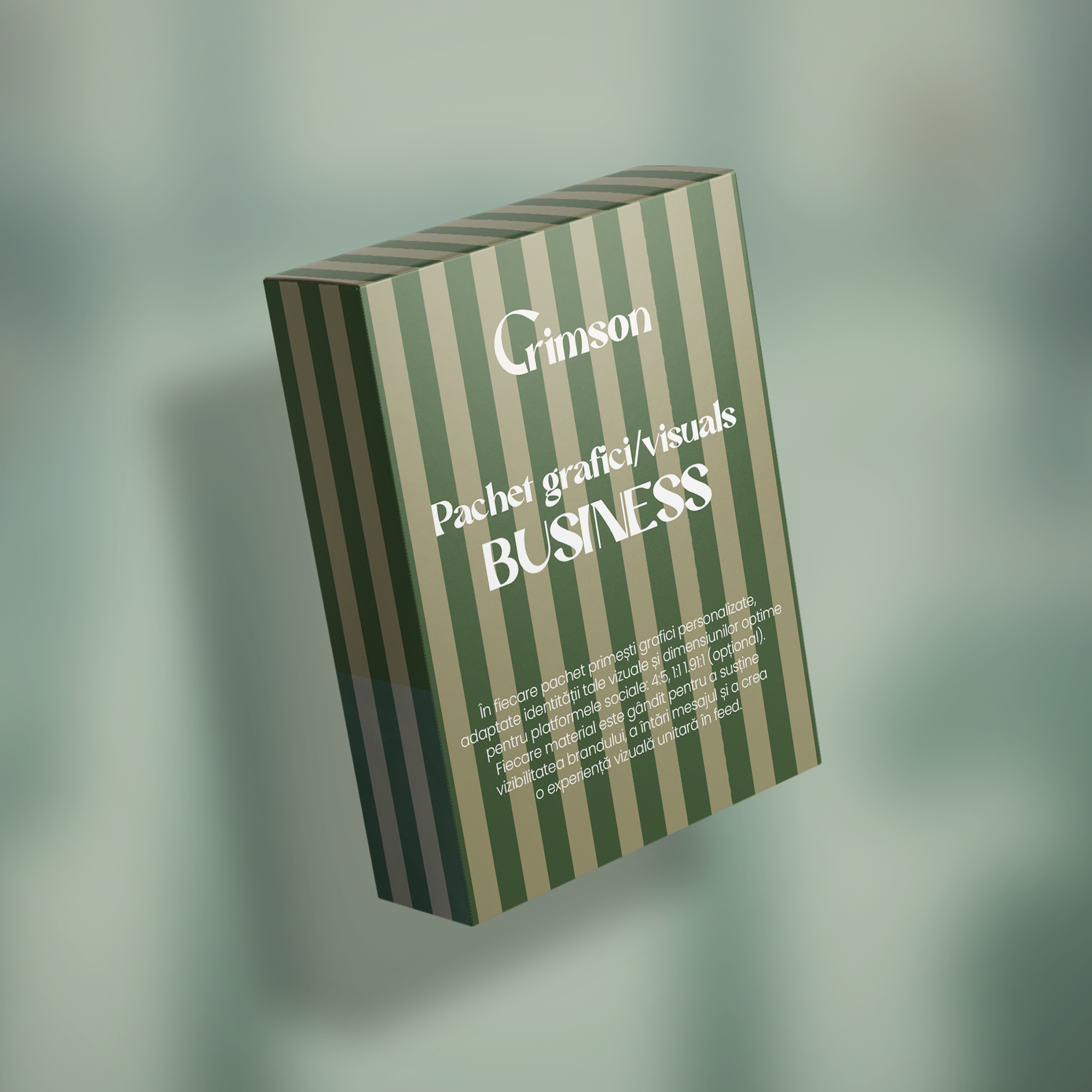 Pachet grafici/visuals - BUSINESS